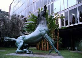 I CANALI RAI IN STREAMING